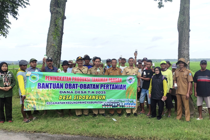Peningkatan Produksi tanaman pangan Dana Desa t.a 2025