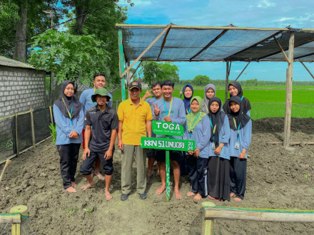PENANAMAN TANAMAN OBAT KELUARGA